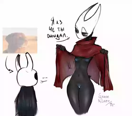 1boy,1girl,2d,hollow knight,